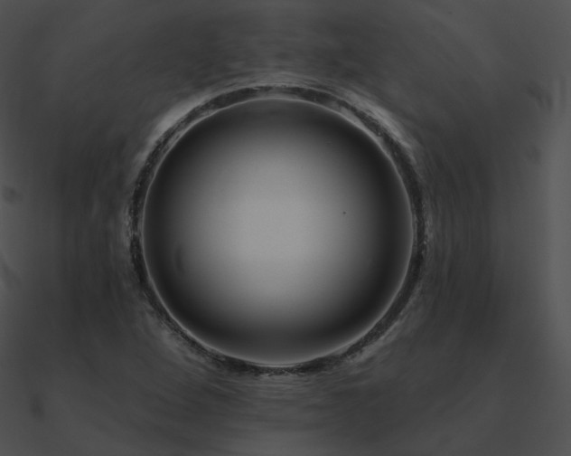 X0000090971264200708021429