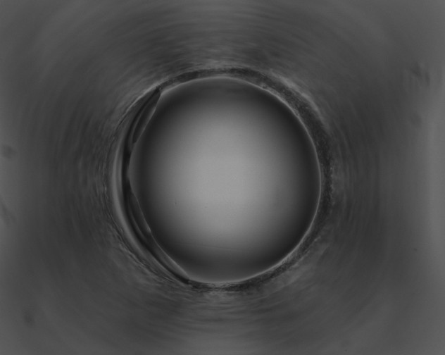 X0000090971265200708021429