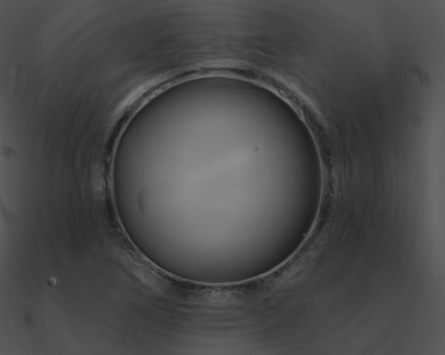 X0000090971266200708021429