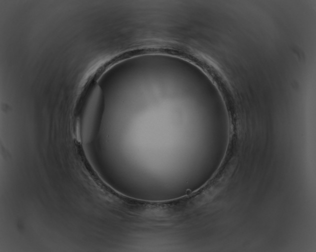 X0000090971267200708021429