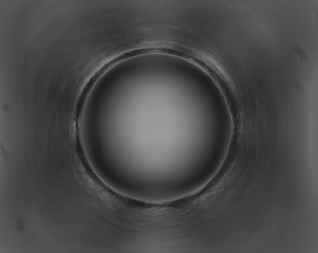 X0000090971268200708021429