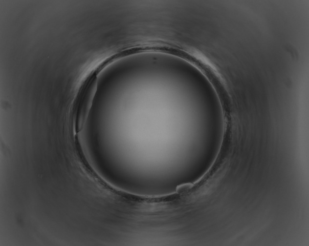 X0000090971269200708021429