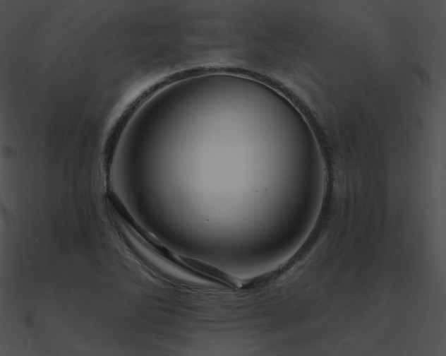 X0000090971270200708021429