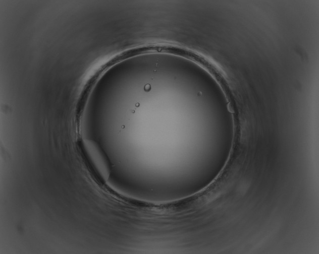 X0000090971271200708021429