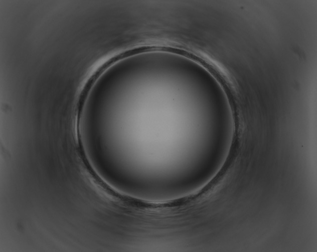 X0000090971272200708021429