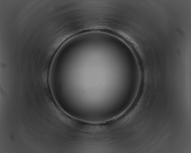 X0000090971273200708021429