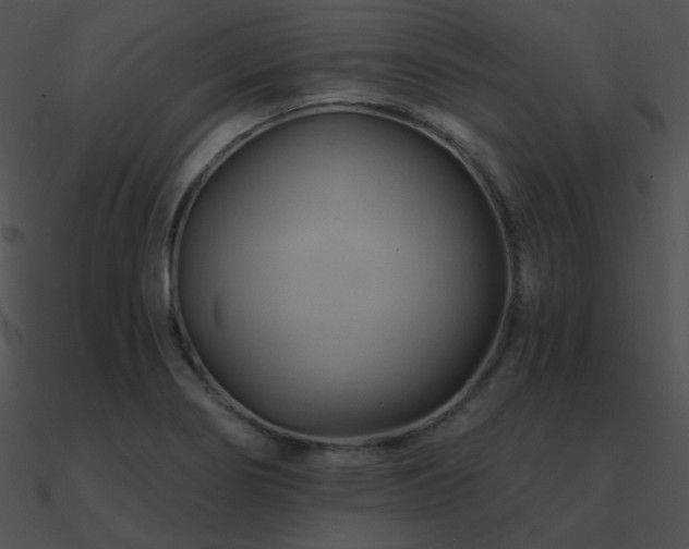 X0000090971274200708021429