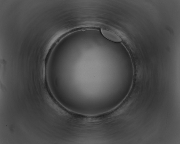 X0000090971275200708021429