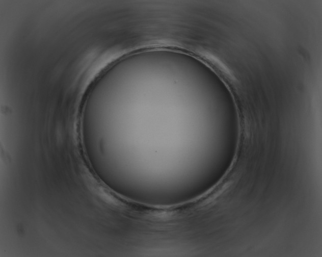 X0000090971278200708021429