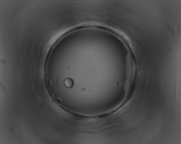 X0000090971279200708021429