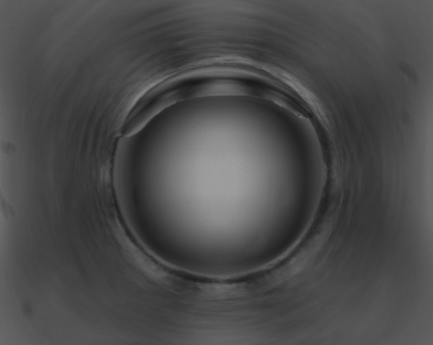 X0000090971281200708021429