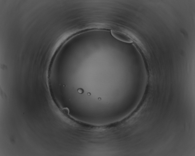 X0000090971283200708021429