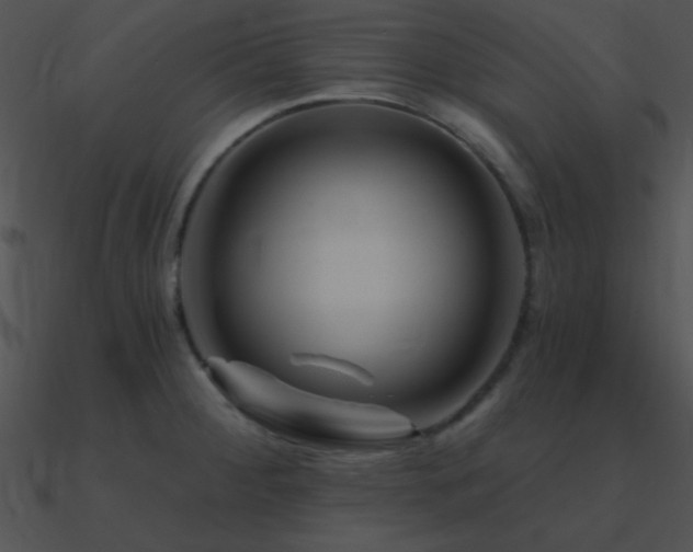 X0000090971284200708021429