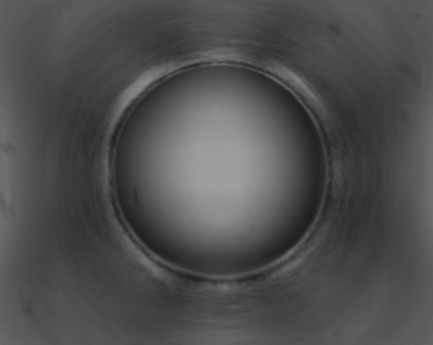 X0000090971286200708021429