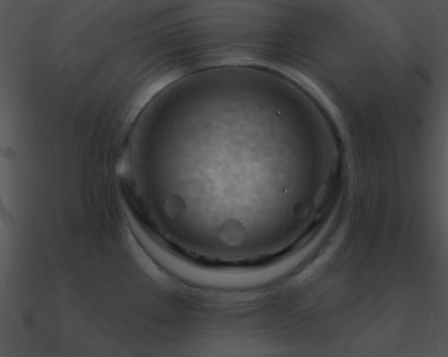 X0000090971289200708021429