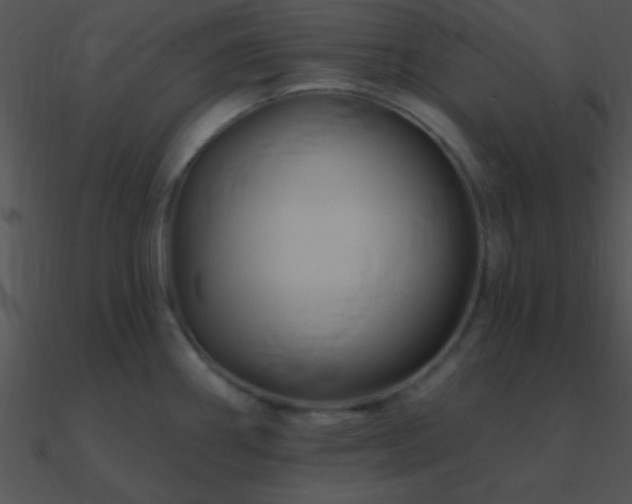 X0000090971290200708021429