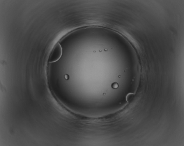 X0000090971291200708021429