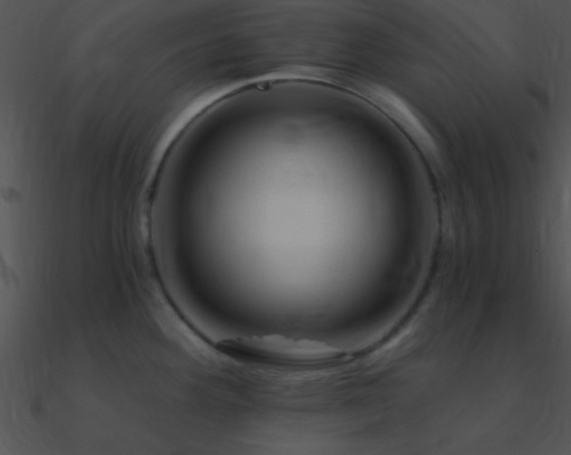 X0000090971292200708021429