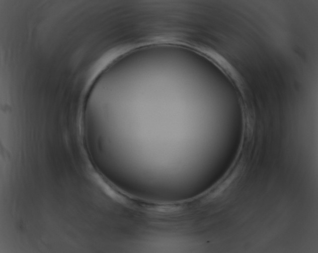 X0000090971294200708021429