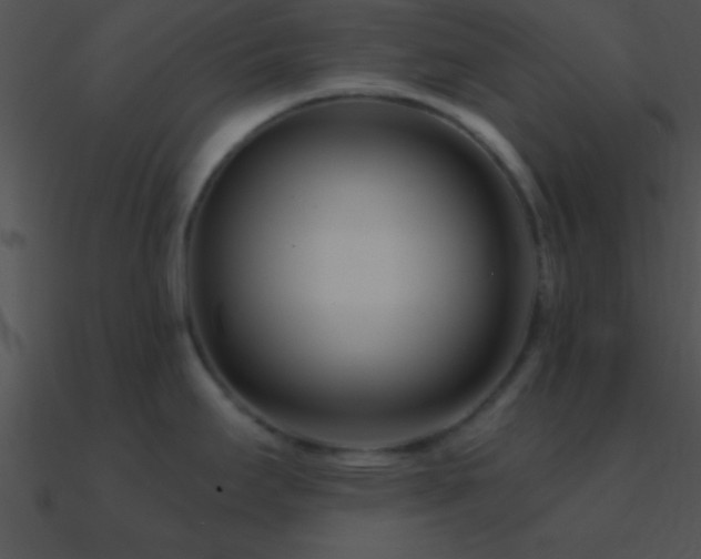 X0000090971295200708021429