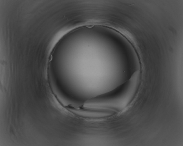 X0000090971296200708021429