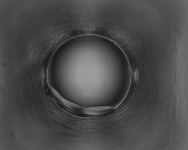 X0000090971299200708021428
