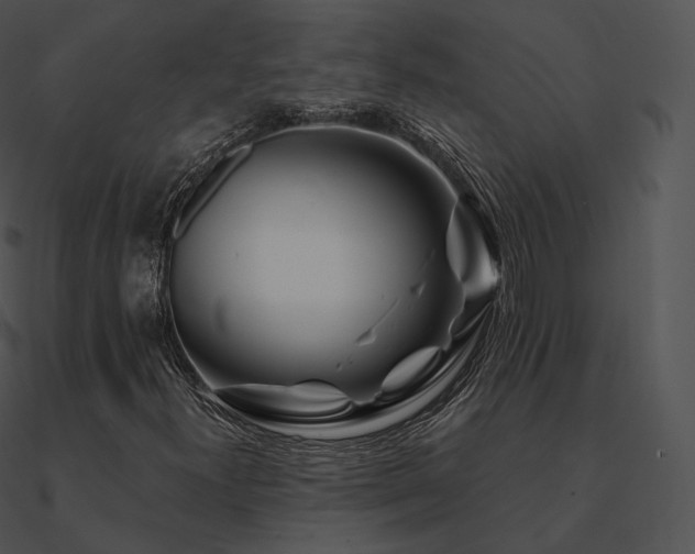 X0000090971300200708021428