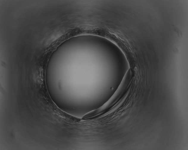 X0000090971301200708021428