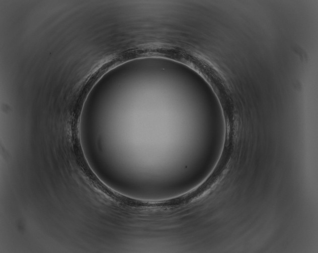 X0000090971305200708021428