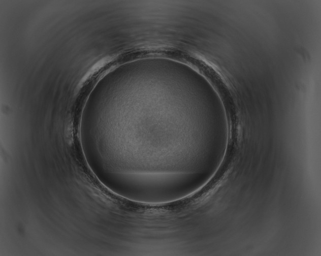 X0000090971306200708021428