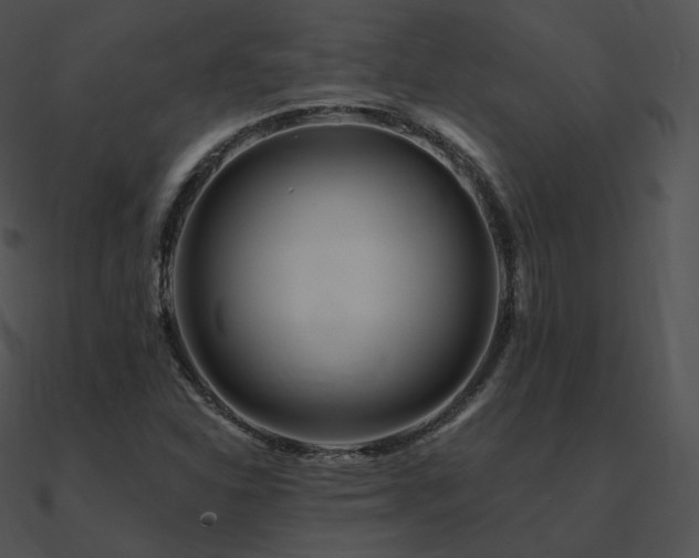 X0000090971310200708021428