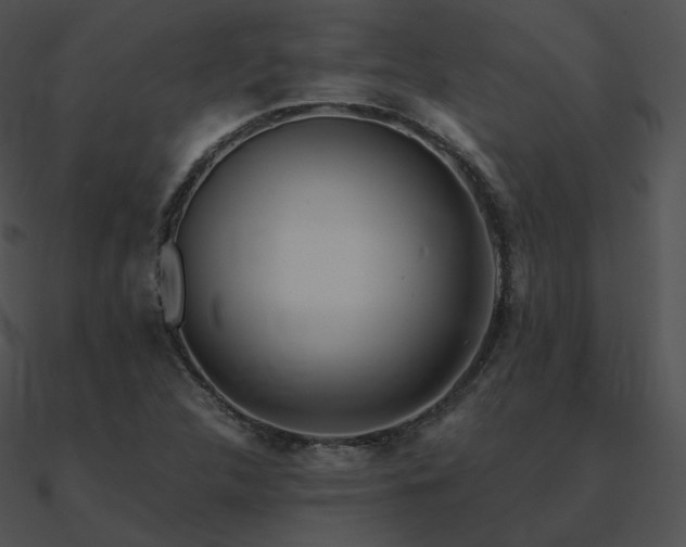 X0000090971312200708021428