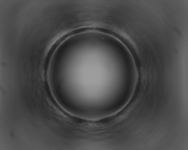 X0000090971318200708021429