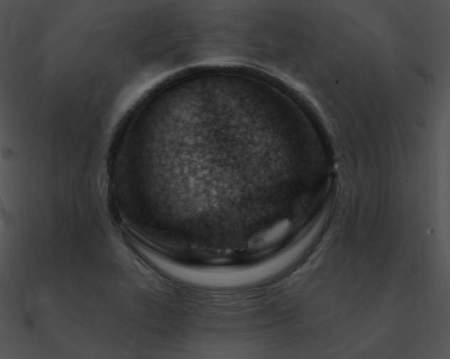 X0000090971319200708021429