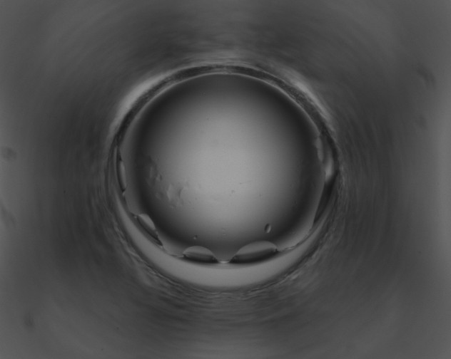 X0000090971320200708021429