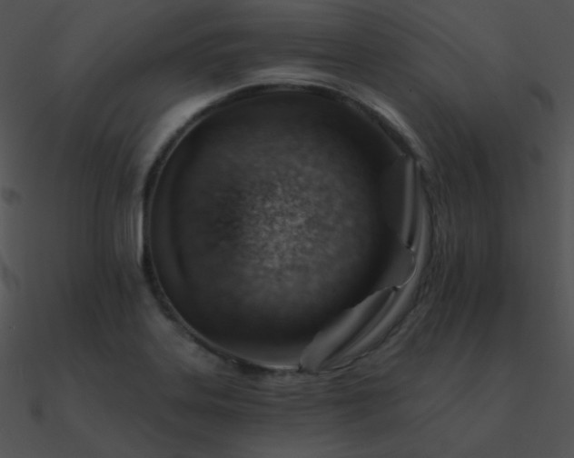 X0000090971323200708021429