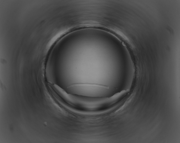 X0000090971325200708021429