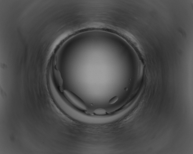 X0000090971326200708021429