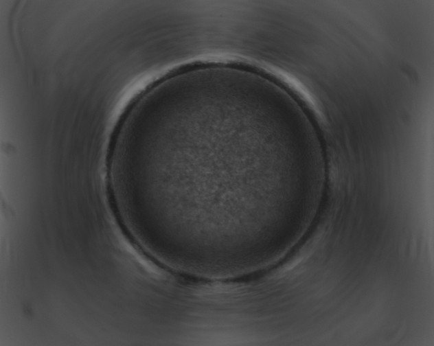 X0000090971327200708021429