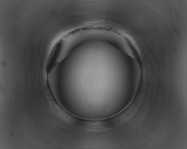 X0000090971328200708021429