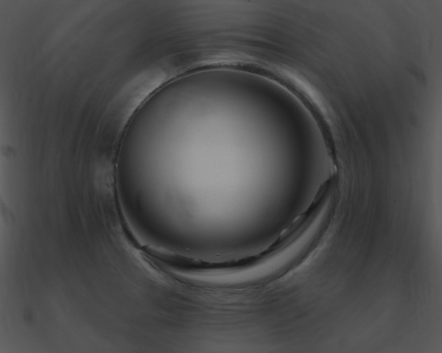 X0000090971329200708021429