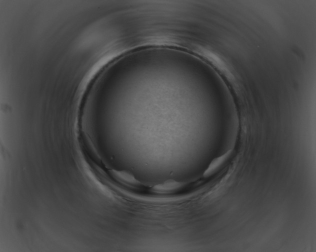 X0000090971331200708021429