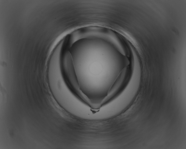 X0000090971332200708021429