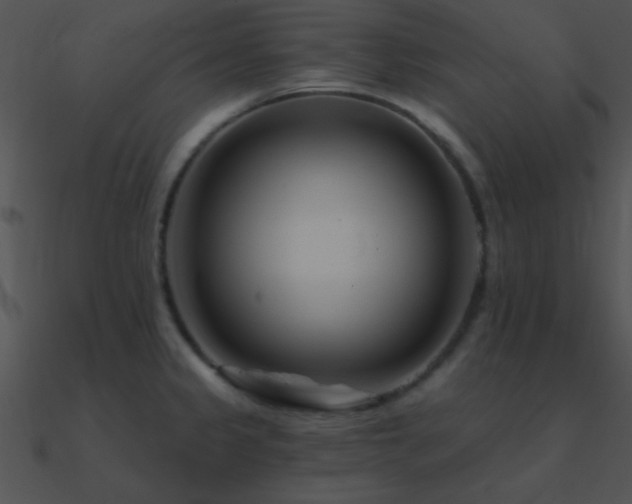 X0000090971333200708021429