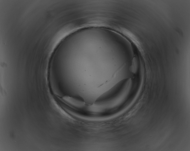 X0000090971334200708021429