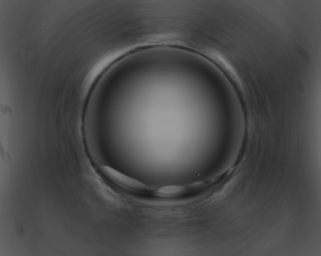 X0000090971336200708021429