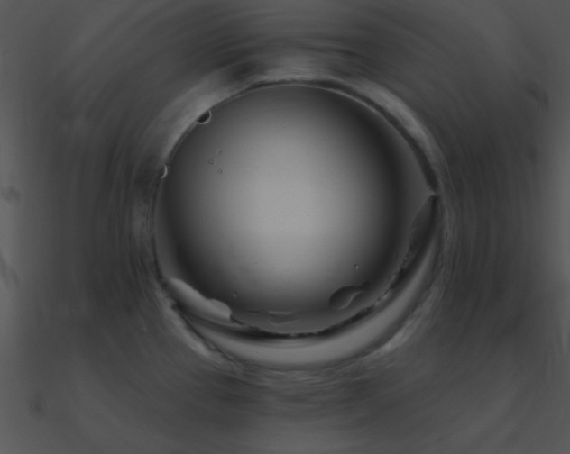 X0000090971337200708021429