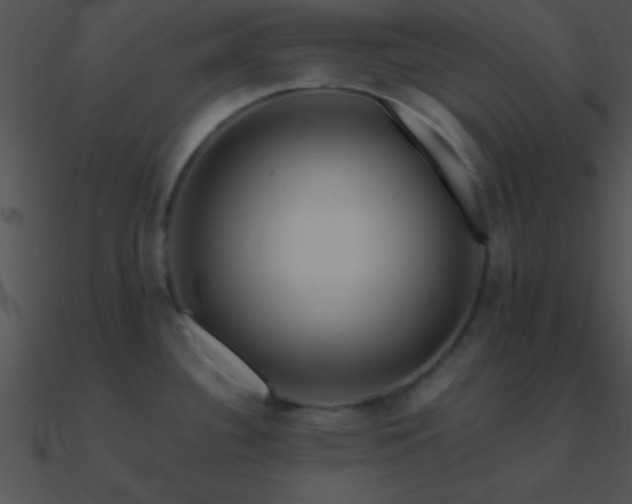 X0000090971340200708021429