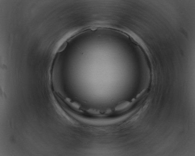 X0000090971341200708021429