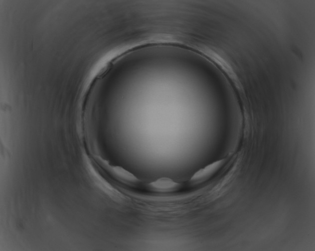 X0000090971342200708021429